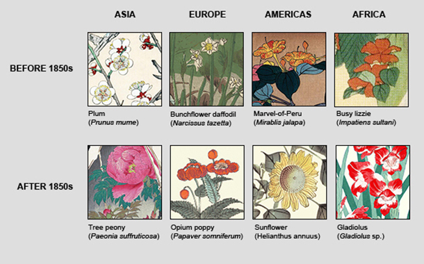 Popular Foreign Flowers